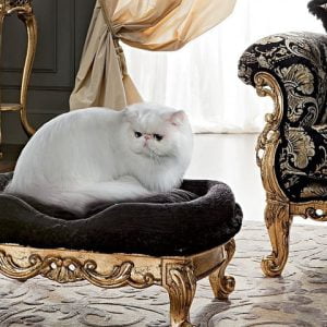 Turkey Classic Furniture - Luxury Furniture ModelsComfort Cat & Dog Pouf