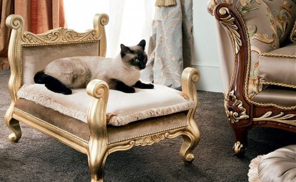 Turkey Classic Furniture - Luxury Furniture ModelsPretty Cat & Dog Pouf